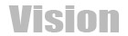 Vision