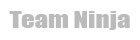 Team Ninja
