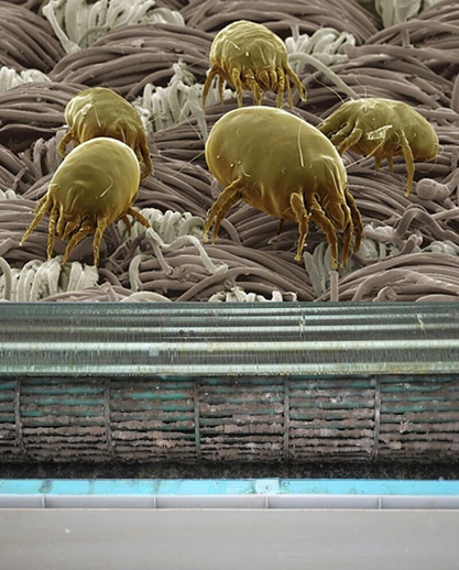 клещи и плесень внутри кондиционера