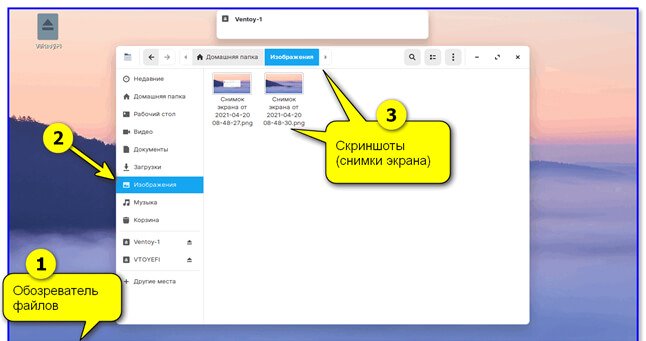 Скріншот в Linux