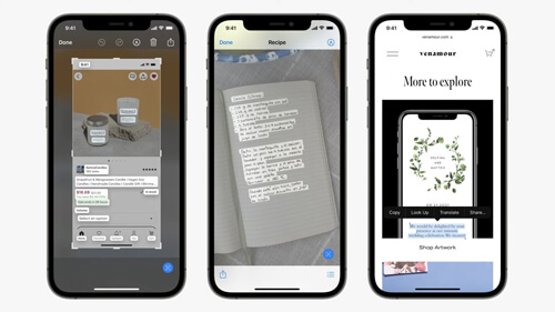 Як скопіювати текст з фото айфон 15