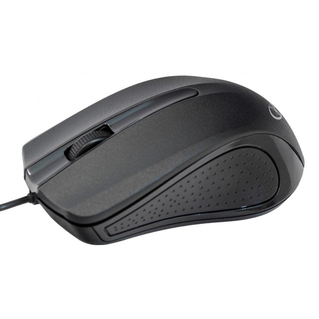 Мышь GEMBIRD MUS-101