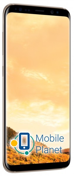 Мобільний телефон Samsung Galaxy S8 Duos 64Gb Gold (SM-G950FZDD)