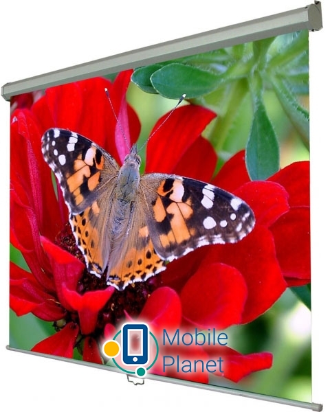 Екран для проектора Walfix 150 SNM-5 (229*305, 4:3) (UA)