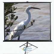 T84UWV1 ELITE SCREENS (UA)