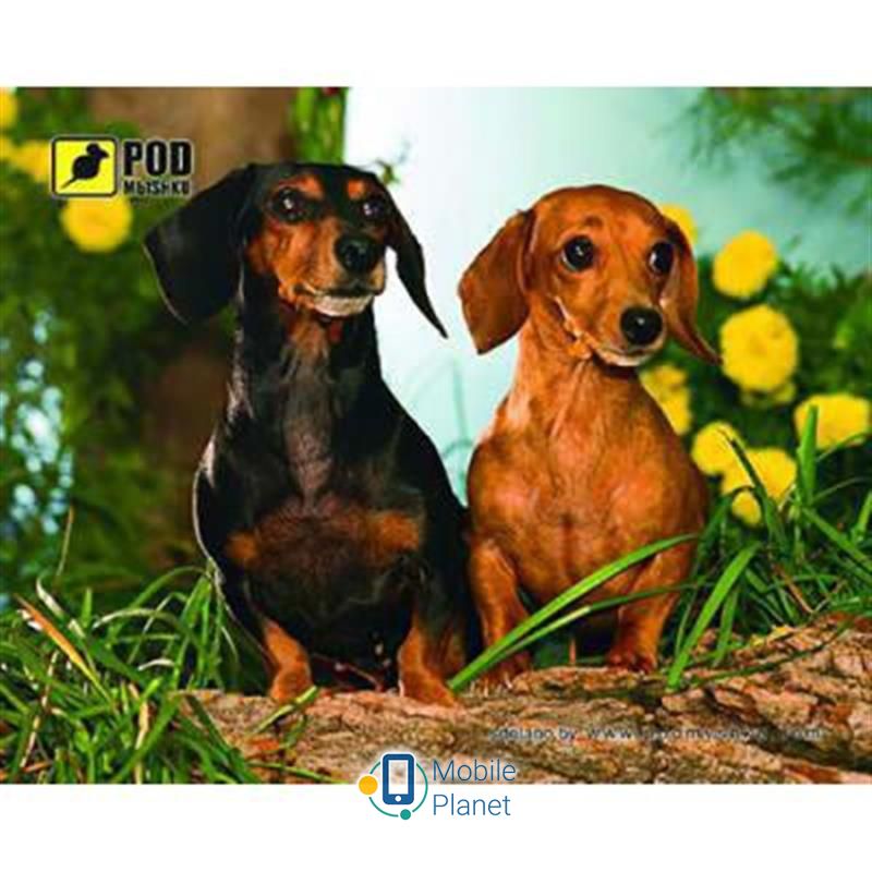 Килимок Podmyshku Такси