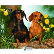 Podmyshku Такси