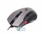 Gembird MUSG-004 Black, Grey USB