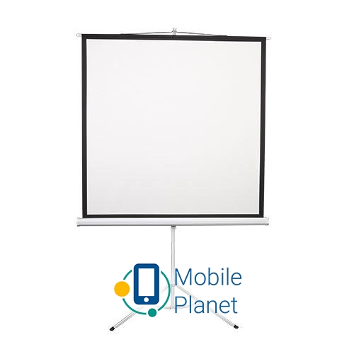 Екран для проектора 2E 1: 1, 100 