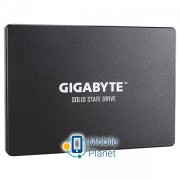 Gigabyte GP-GSTFS31240GNTD