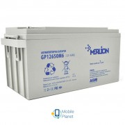 Merlion RDC12-65, 12V-65Ah (GP12650M6) (UA)