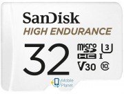 SanDisk High Endurance microSD (SDSQQNR-032G-GN6IA)