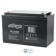 EnerGenie 12В 100 Ач (BAT-12V100AH) (UA)