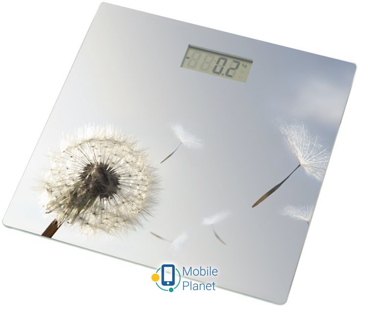 ваги Grunhelm BES-BLG