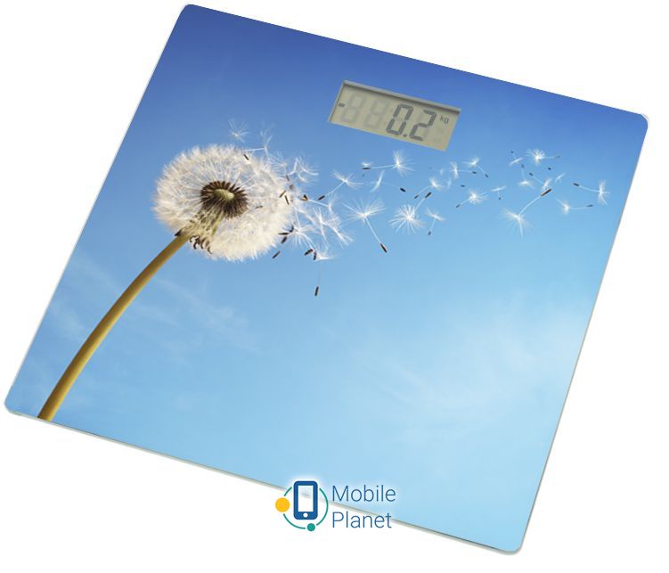 Весы Grunhelm BES-BLB