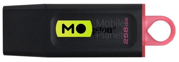 Флеш пам `ять Kingston DataTraveler Exodia 256GB USB 3.2 (DTX / 256GB) Black / Pink