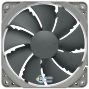 Noctua NF-P12 redux-900