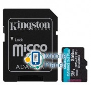 Kingston Canvas Go! Plus microSD (SDCG3/256GB)