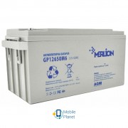 Merlion RDC12-65, 12V-65Ah GEL (G12650M6 GEL) (UA)