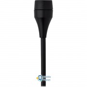 AKG C417 PP (UA)