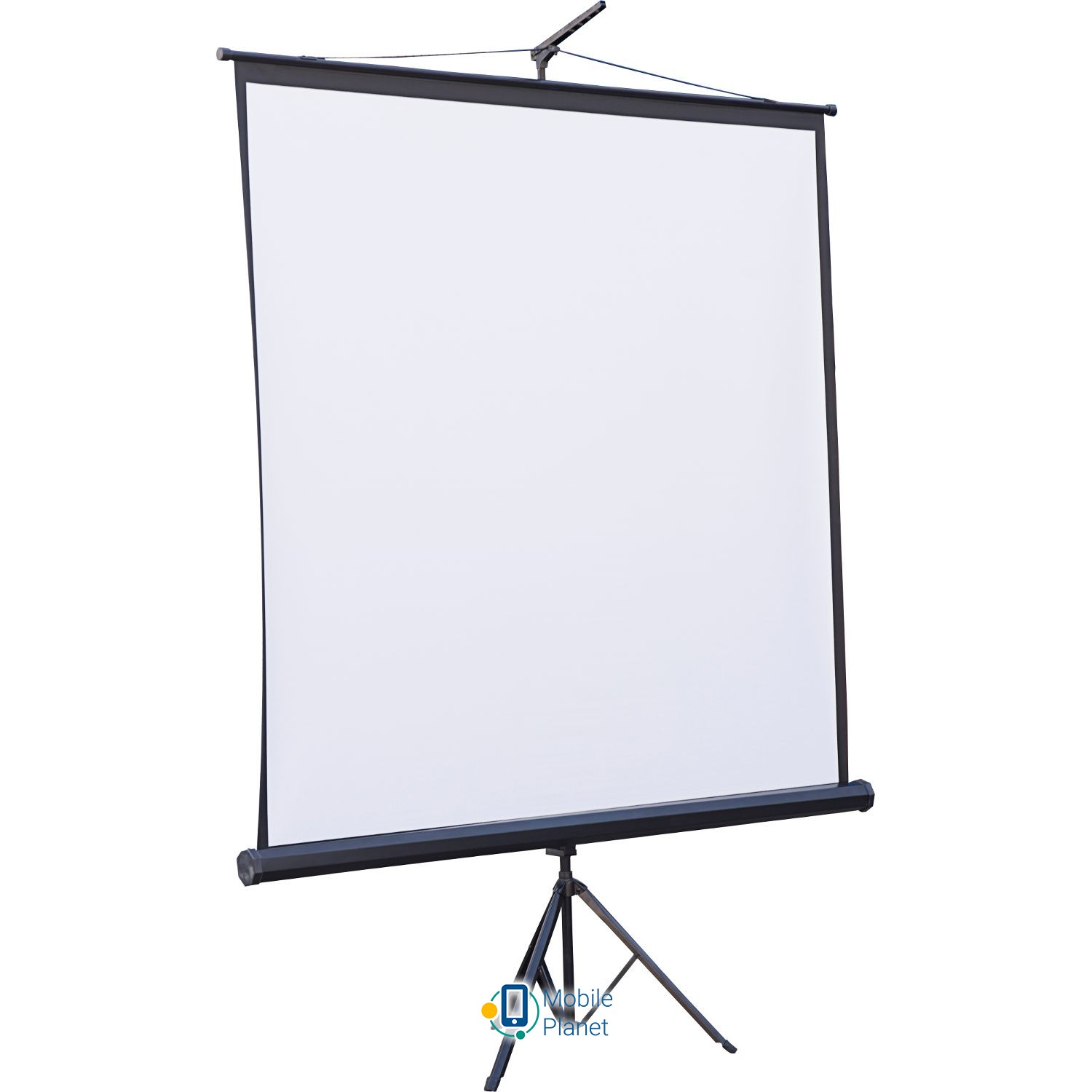 Екран для проектора ATRIA Eco TRM-NTSC-84D 170x127см (UA)