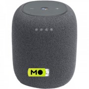 JBL Link Music Gray (JBLLINKMUSICGRYEU)