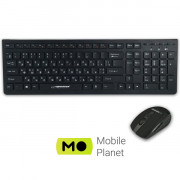 ESPERANZA Tacoma EK136UA