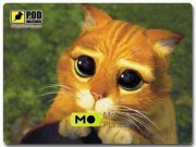 Podmyshku Котик з м-фа Шрек (101059)