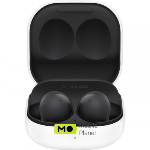 Samsung Galaxy Buds 2 Graphite (SM-R177NZKA)