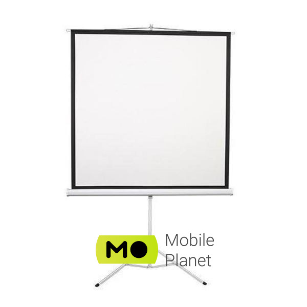 Екран для проектора 2E 1:1, 80 (0001180T) (UA)