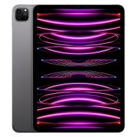 Apple iPad Pro 11 Wi-Fi + Cellular 128GB Space Gray (MP553, MNYC3) 2022