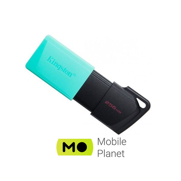 Флеш пам `ять Kingston 256GB DataTraveler Exodia M USB 3.2 (DTXM/256GB)