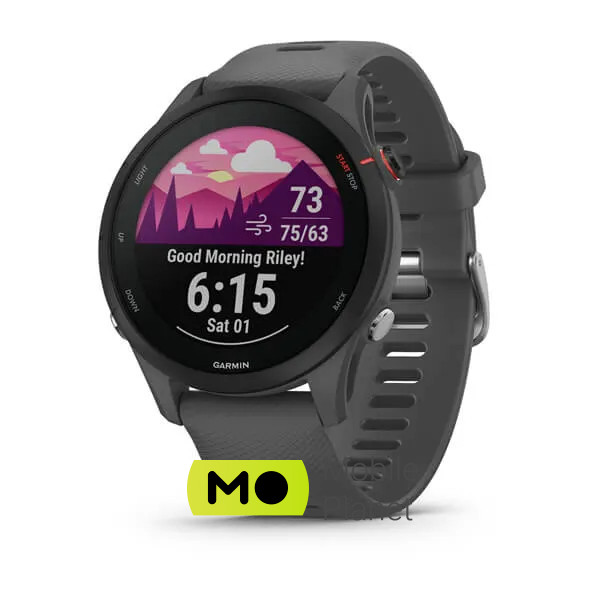 Garmin Forerunner 255 Slate Gray (010-02641-00/10)