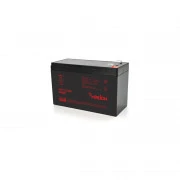 Merlion R1232W, 12V 9.5Ah (HR1232W) (UA)