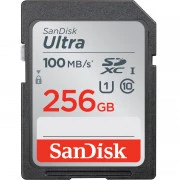 SanDisk 256GB SD class 10 UHS-I Ultra (SDSDUNR-256G-GN3IN)