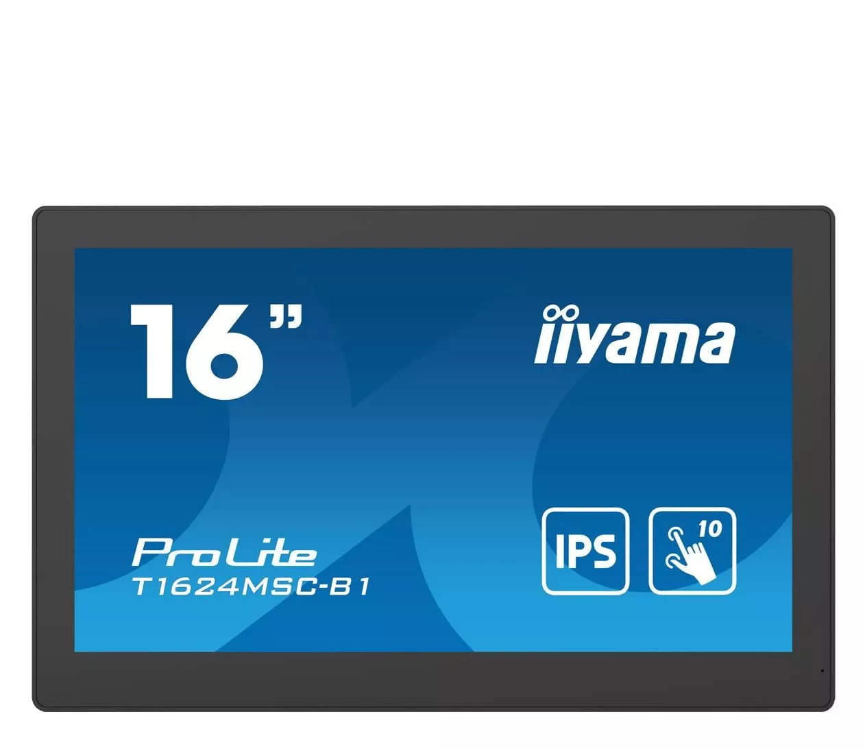 Монитор iiyama T1624MSC-B1 Touch (T1624MSC-B1) EU