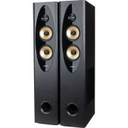 Акустична система F&D T-60X Pro (UA)