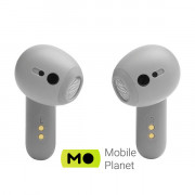 JBL Live Flex Silver (JBLLIVEFLEXSVR)