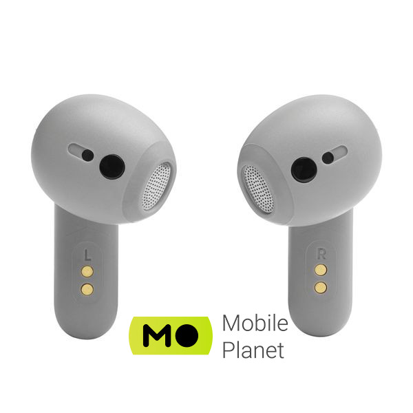 JBL Live Flex Silver (JBLLIVEFLEXSVR)