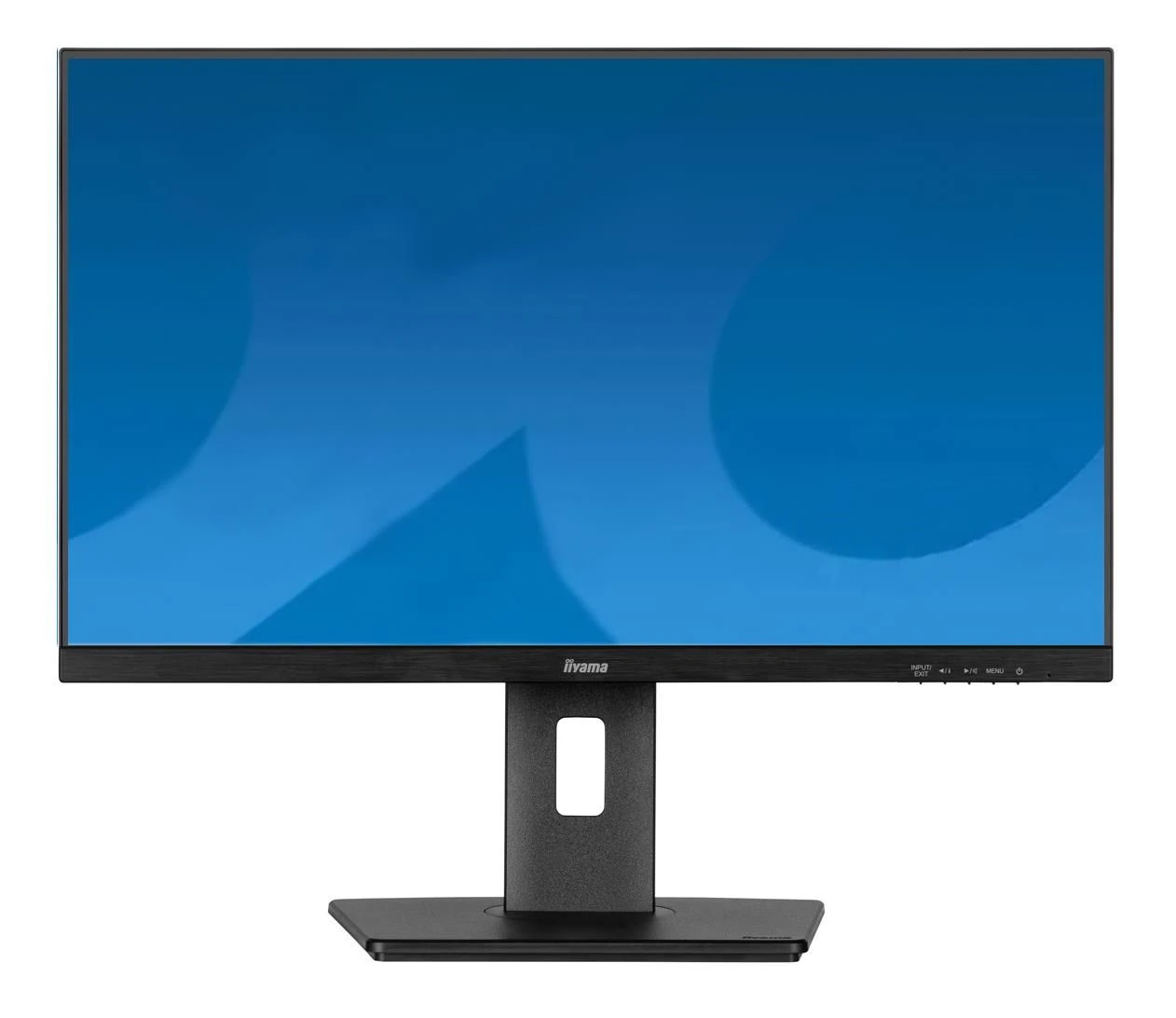 Монитор iiyama ProLite XUB2497HSU-B2 (XUB2497HSU-B2) EU