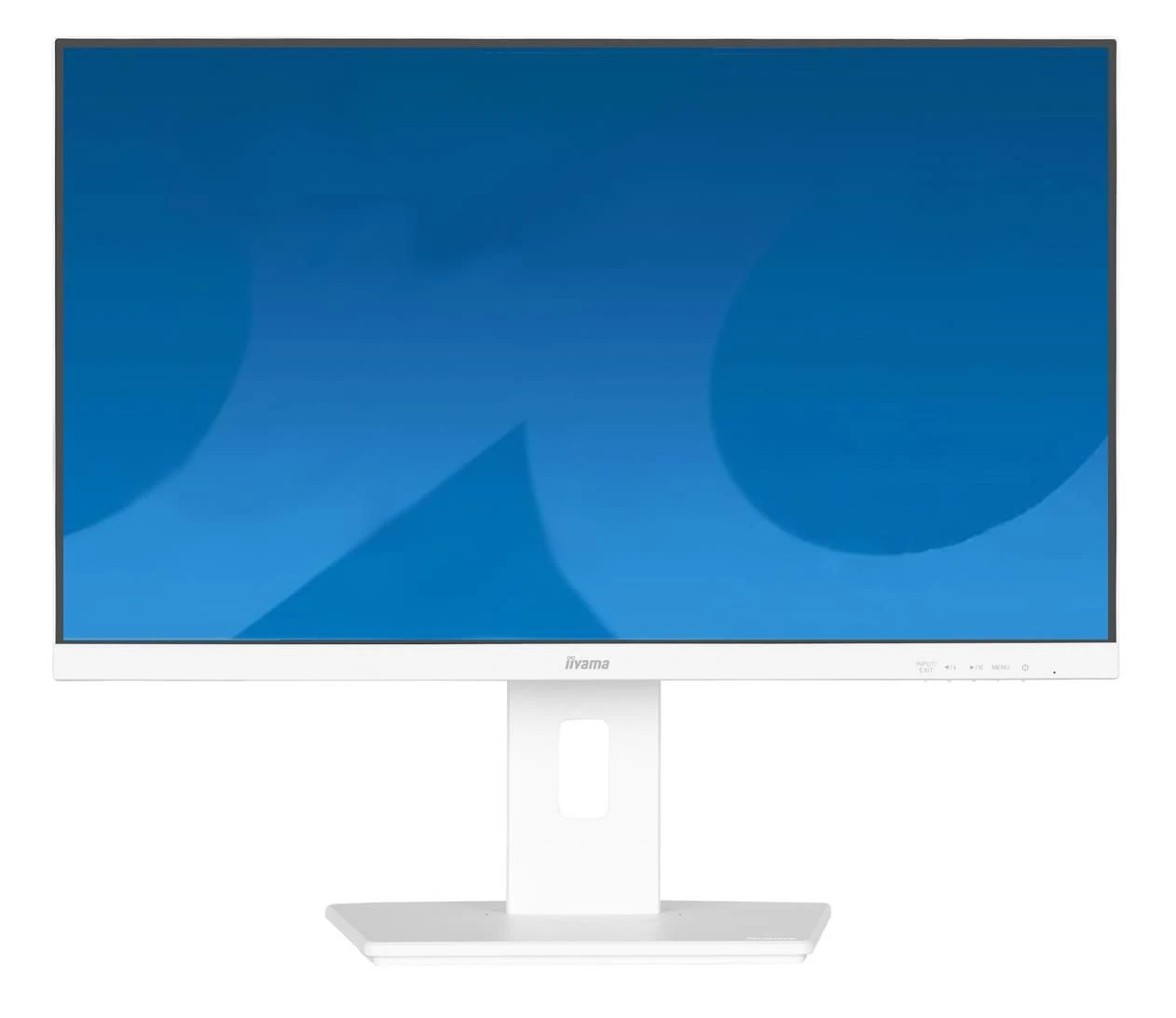 Монитор iiyama ProLite XUB2497HSU-W2 (XUB2497HSU-W2) EU