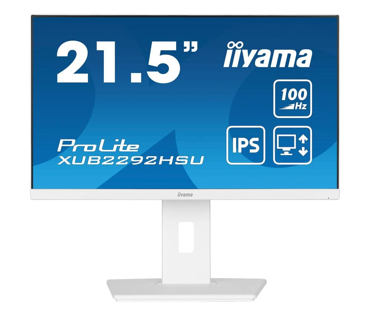 Монитор iiyama XUB2292HSU-W6 (XUB2292HSU-W6) EU