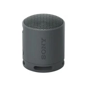Sony SRS-XB100 Black (SRSXB100B)