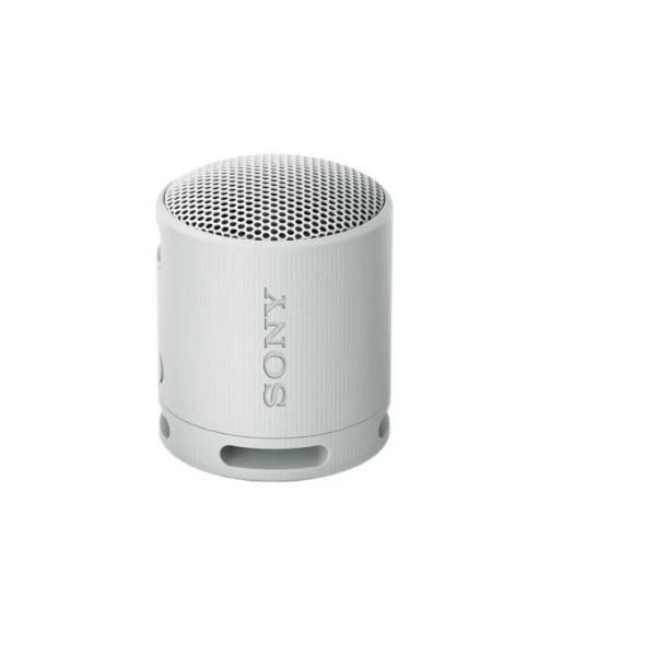 Акустична система Sony SRS-XB100 Grey (SRSXB100H.CE7)
