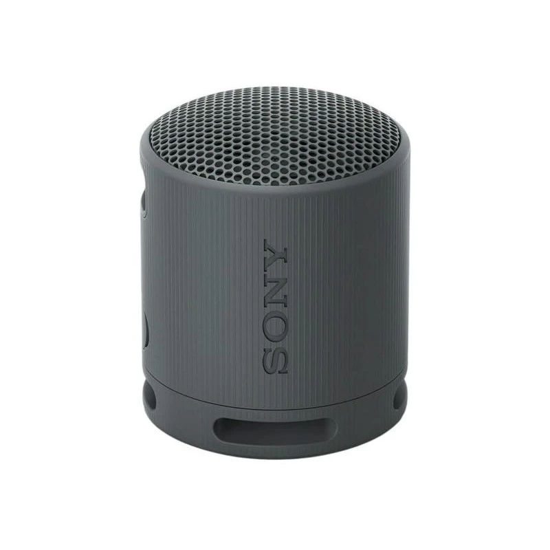 Акустична система Sony SRS-XB100 Black (SRSXB100B)
