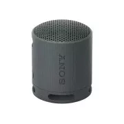 Sony SRS-XB100 Black (SRSXB100B)