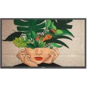 Philips 32BDL4511D/00 (UA)