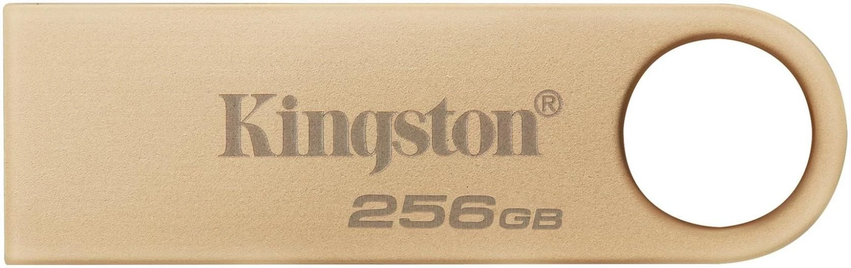 Флеш пам `ять Kingston 256GB USB 3.2 Type-A Gen1 DT SE9 G3 (DTSE9G3/256GB)