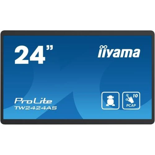 Презентационный дисплеи iiyama TW2424AS-B1 (UA)