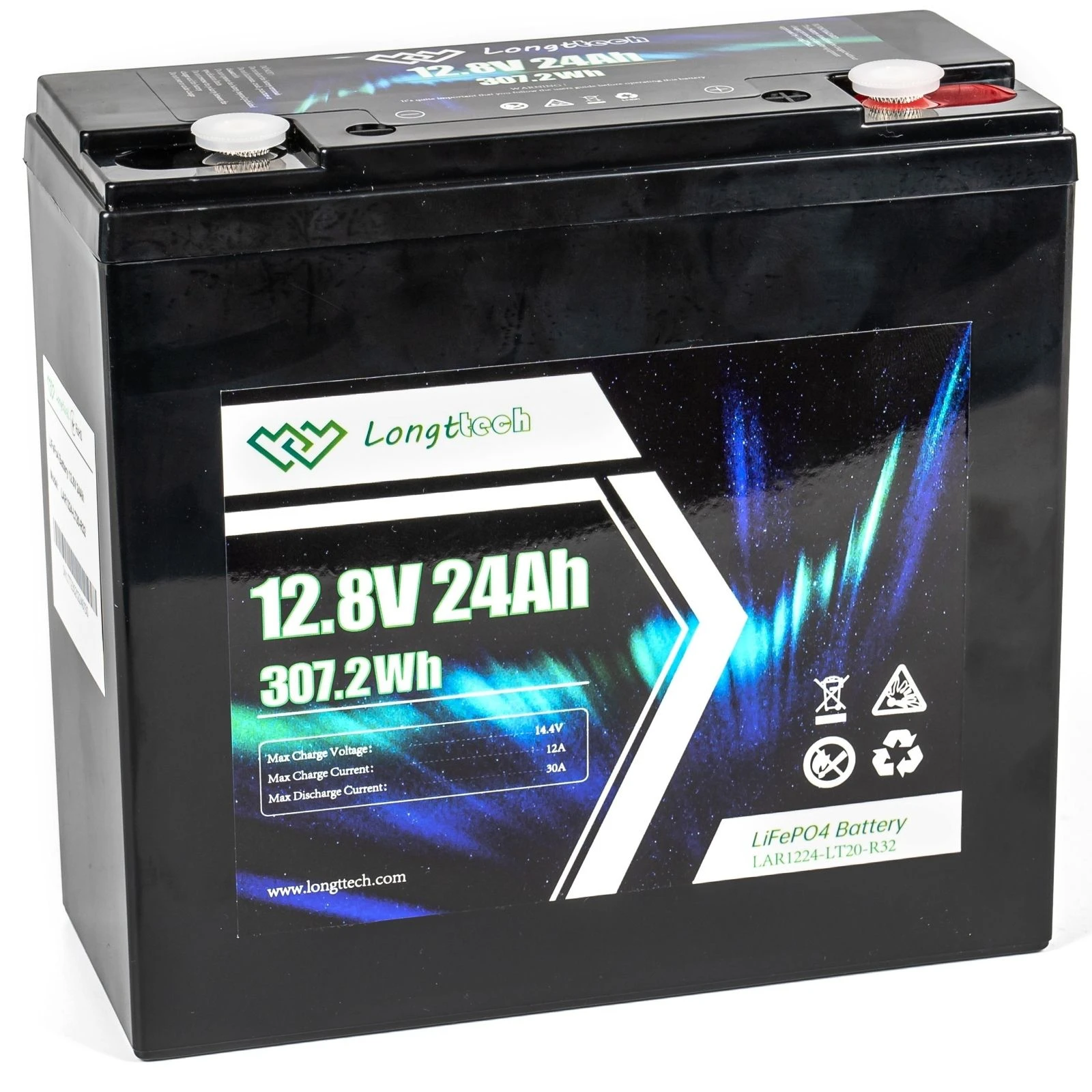 Акумуляторна батарея LiFePo4 Longttech LiFePO4 12.8V - 24Ah (LAR1224-LT20-R32) (UA)